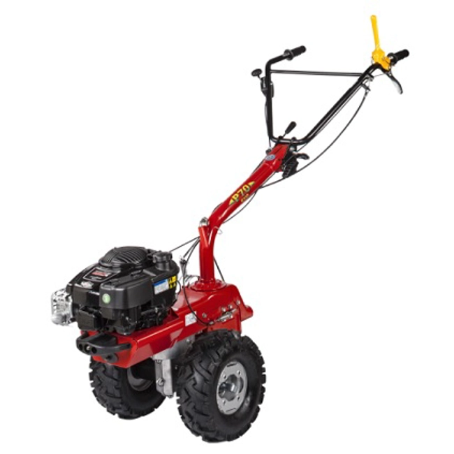 Vendita online Macchina multifunzione P70 EVO motore Briggs&Stratton